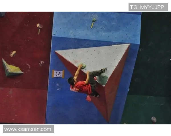 南京攀岩队在全国团队协作排行榜中荣获第十名展现出色团队精神与实力