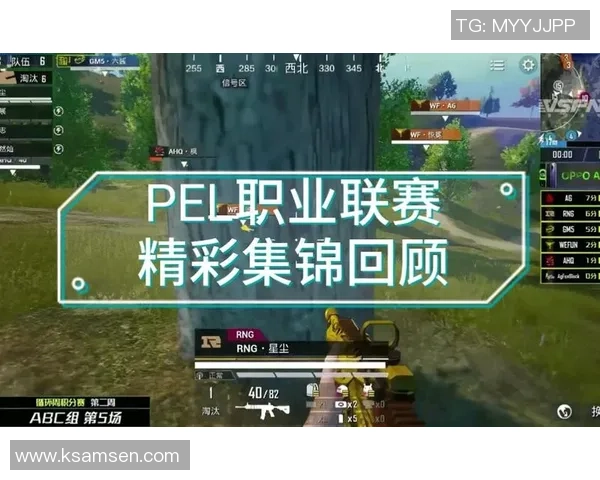 和平精英巨献：深入剖析RNG战队成员的个人能力与战术配合